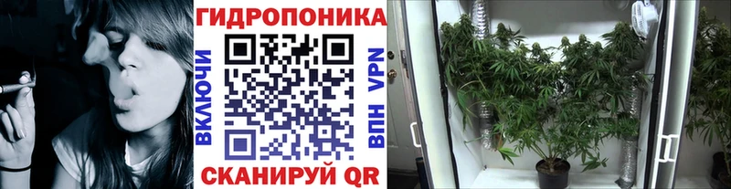 Магазины продажи наркотиков Зима Амфетамин  Каннабис  КОКАИН  Меф мяу мяу  ГАШИШ 