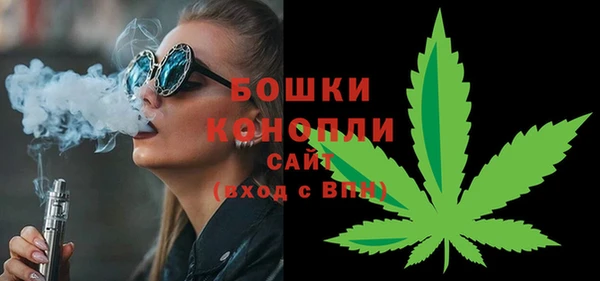 дживик Верхний Тагил
