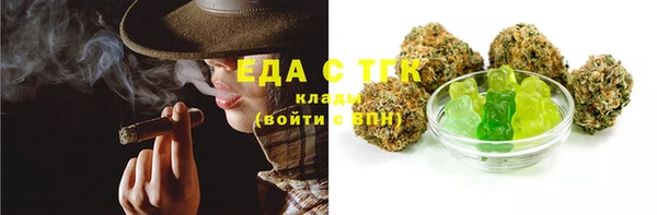 дживик Верхний Тагил