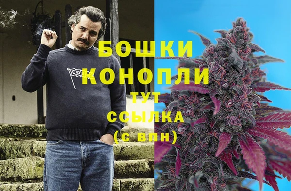 мяу мяу мука Волоколамск