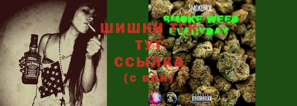 дживик Каменка