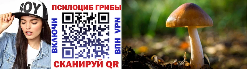 Галлюциногенные грибы Cubensis  Зима 